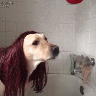 :v