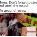 Do you smell what The Rose is cookin'?