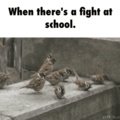 Quand il y a un combat à l'école