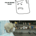 This is why polar bears are going extinct