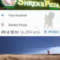 Shrek pizza B)