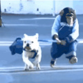commented item thumbnail