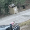 Bear Cubs rescued from dumpster - some heroes ride pickups!