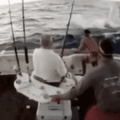 ....... Quando o golfinho é otacu e tenta fazer um boquete no coitado do pescador