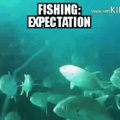 Best Fishing Story?
