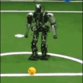 Why do people waste money on making robots which play football