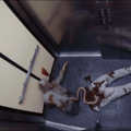 Nada como encontrar um morto vivo no elevador.
