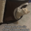 Silly Elizabeth