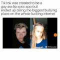 To all normies, i bring you the ironic  tik tok memes