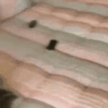 commented item thumbnail
