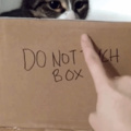 Do not touch box