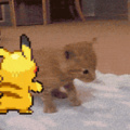 Pikachu used tackle