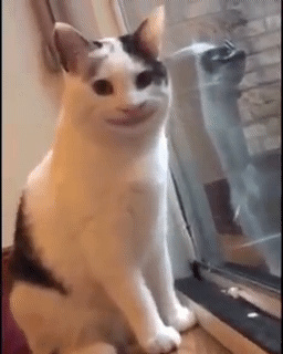 Le chat sourit (Sourit/Souris… T'as compris la blague ? Parce que c'est un chat et les chats attrapent les souris