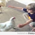 The affection between a boy and his chicken is a classic meme