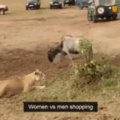 women vs men shopping