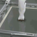 Printing of a cat