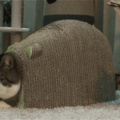 commented item thumbnail