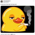 Duck smoking meme