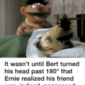 Bert is hardcore