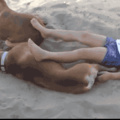 commented item thumbnail