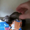 commented item thumbnail