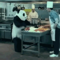 Don't mess with panda
