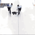 Cat curling
