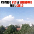 Ste shenlong