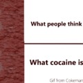 Cocaine reality
