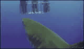 :scaredyao: