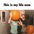 this pumpkin is now my heads house
