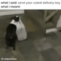 cutest delivery guy