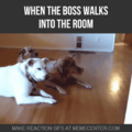 Cuando el jefe entra a la habitación