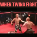 When Twins Fight