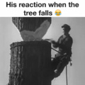 * Sa réaction quand l'arbre tombe X)