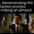 Milk Extraction Process