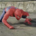 Spiderman vs. Ant-Man