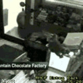 Bear breaks into chocolate factory