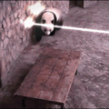 Es el panda ninja