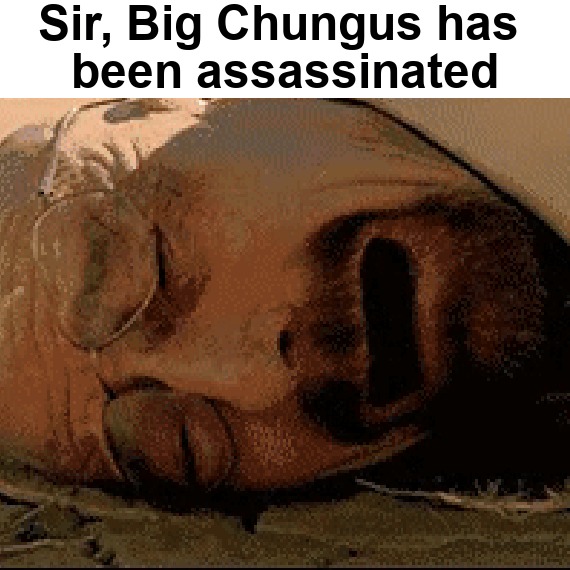 Línea evolutiva de BIG CHUNGUS - Meme by NightmareShoot :) Memedroid