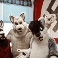 Malditos furros nazis