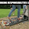 responsibilities