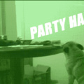 Party Hard lml