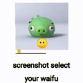Screenshot your waifu 