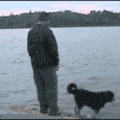 Instant Karma - It’s ironic that the dog seems concerned for him after he falls in!