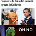 female convict rape skyrockets in California
