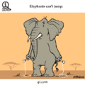 Poor elephants