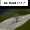 Cadeia alimentar