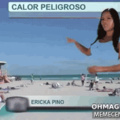 Erica Pinto na previsão do tempo quando de repente surge um otacu na praia