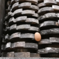 The Incredible Edible Egg vs Shredder (Follow me on the amazing meme app Pictophile to see all 40k of my top quality posts)